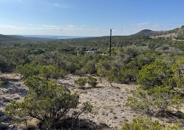 1220 Serenity, Fischer, TX 78623 - photo 5