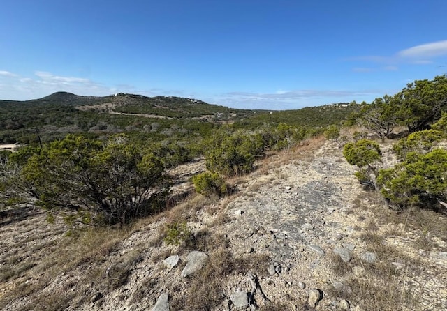 1220 Serenity, Fischer, TX 78623 - photo 6