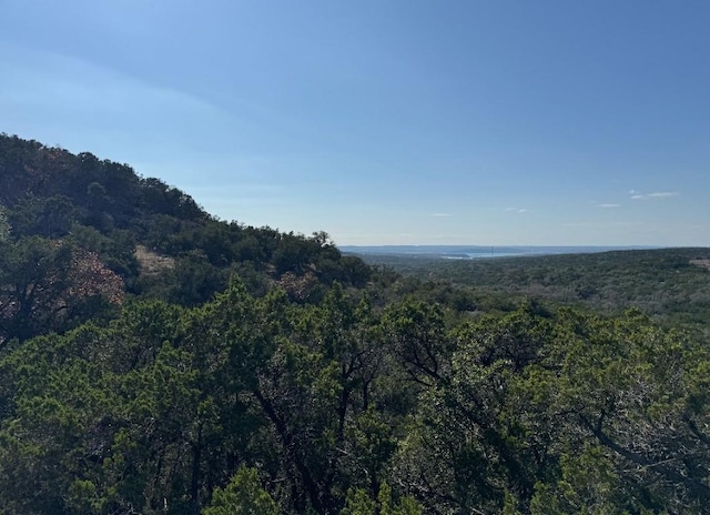 1220 Serenity, Fischer, TX 78623 - photo 14