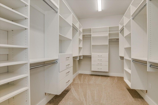 walk in closet featuring light colored carpet