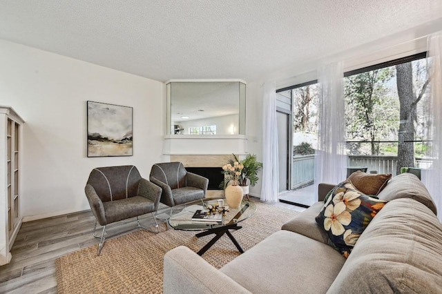 living area featuring a textured ceiling, wood finished floors, and a fireplace