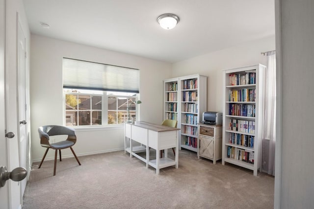 office space featuring baseboards and carpet flooring