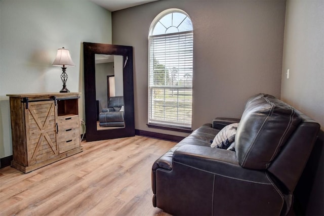 living area featuring light wood-style flooring