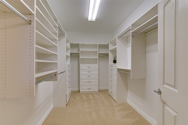 spacious closet with light colored carpet