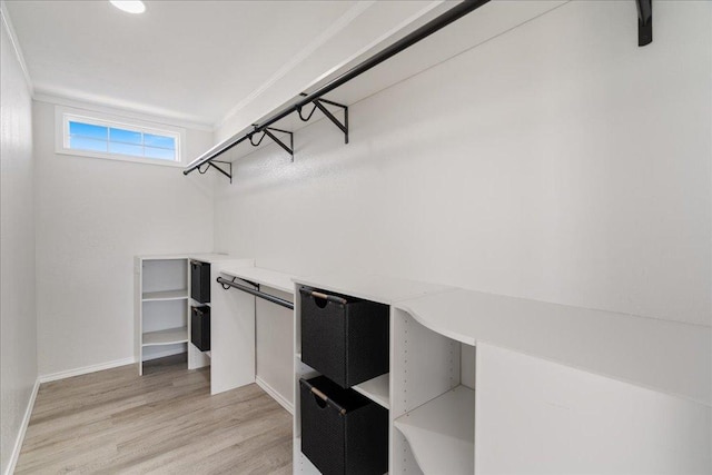 walk in closet featuring light wood-style floors