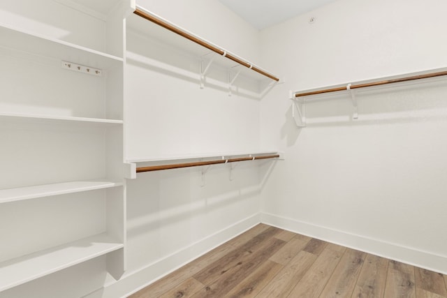 walk in closet with wood-type flooring