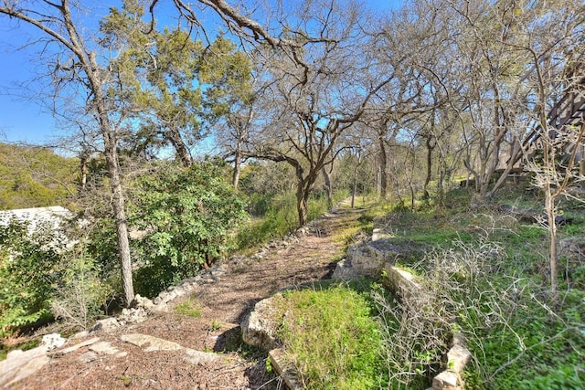 view of local wilderness