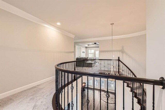 921 Morning Moon Cir, Austin, TX 78732 - hallway featuring an upstairs landing, crown molding, carpet flooring, and baseboards