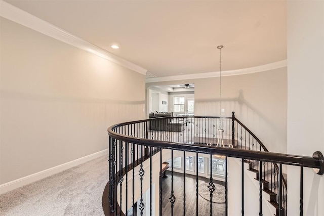 921 Morning Moon Cir, Austin, TX 78732 - hallway featuring an upstairs landing, carpet floors, crown molding, and a wainscoted wall