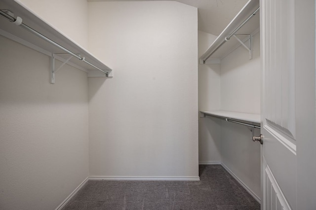 walk in closet with dark carpet