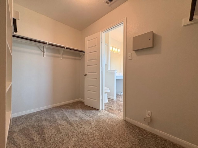 walk in closet with carpet