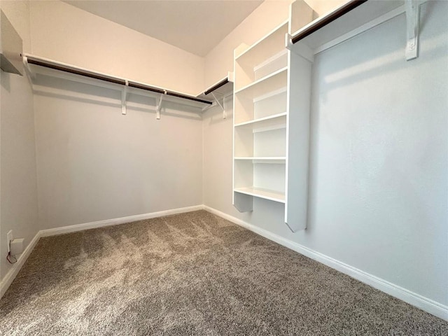 spacious closet with carpet floors