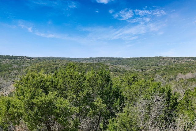 view of landscape featuring a forest view