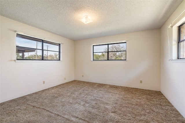 spare room with a wealth of natural light, carpet, and a textured ceiling