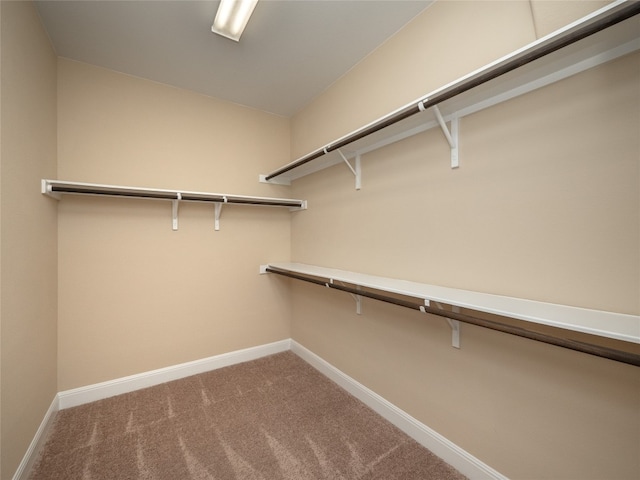 walk in closet featuring carpet floors