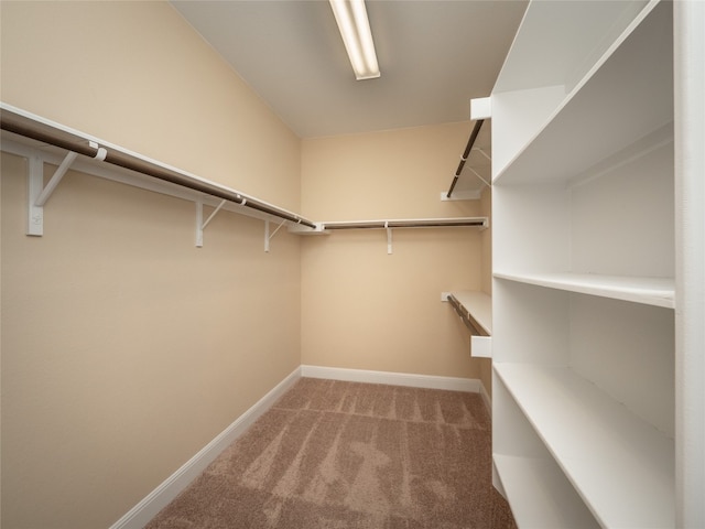 walk in closet with carpet