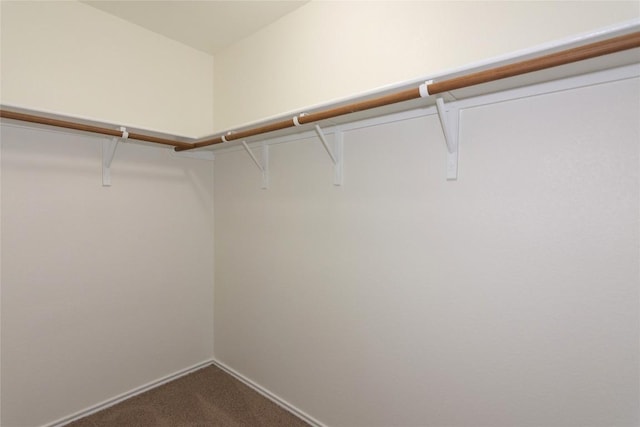 walk in closet with dark carpet