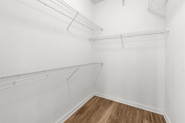 walk in closet featuring dark wood finished floors