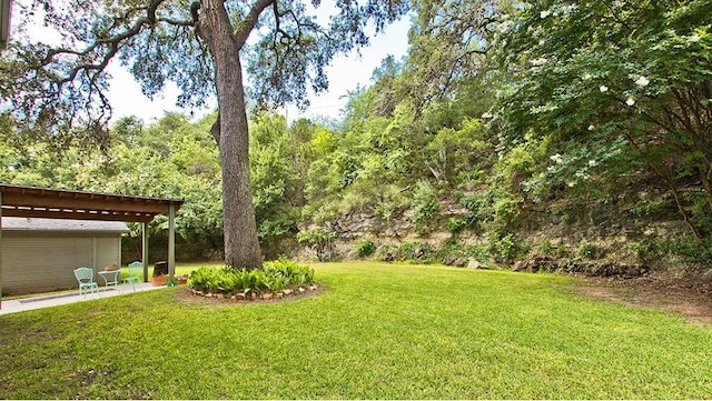 view of yard featuring a patio