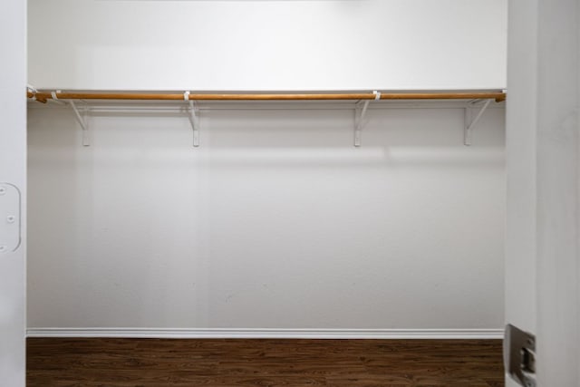 spacious closet featuring dark wood-type flooring