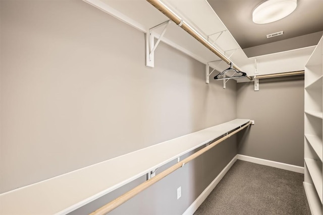 walk in closet featuring visible vents and carpet floors