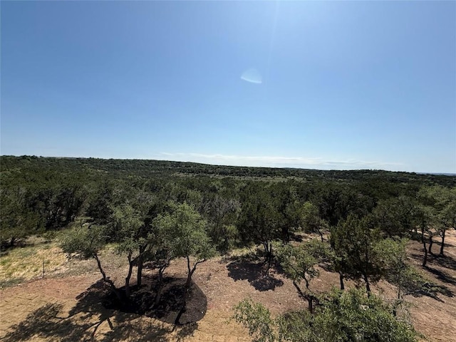 8112 Kuhn Dr, Austin, TX 78736 - view of tree filled area