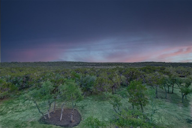 8112 Kuhn Dr, Austin, TX 78736 - view of mountain backdrop with a heavily wooded area