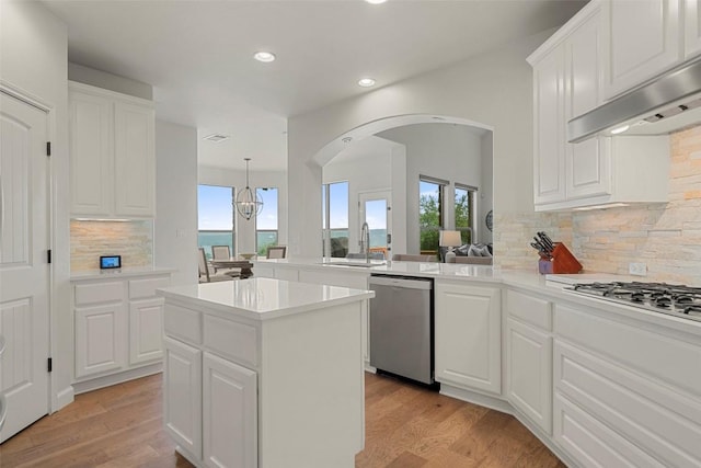 kitchen featuring light wood-style flooring, under cabinet range hood, a sink, stainless steel appliances, and arched walkways