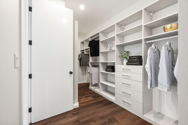 walk in closet with dark wood-style flooring