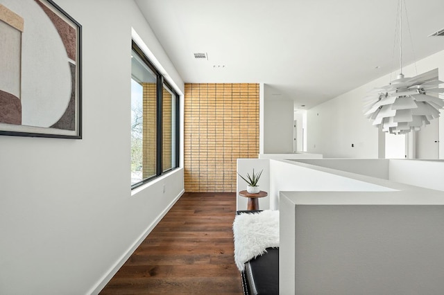 2603 Little John Ln, Austin, TX 78704 - hallway with dark wood finished floors and baseboards