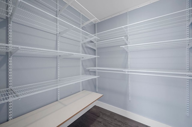 walk in closet with wood finished floors