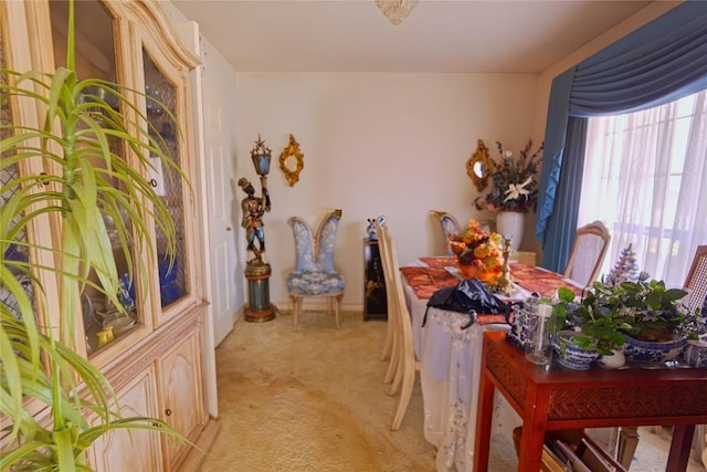 dining space featuring light carpet