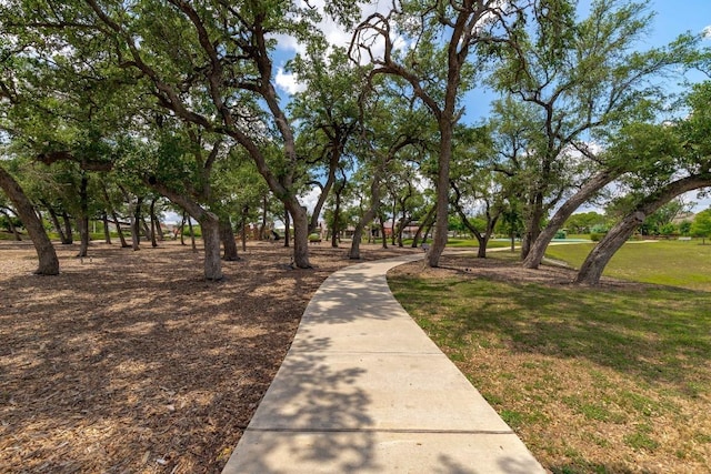 view of community with a lawn