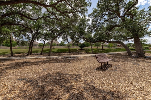 1004 Brenham Ln, Leander, TX 78641 - view of property's community