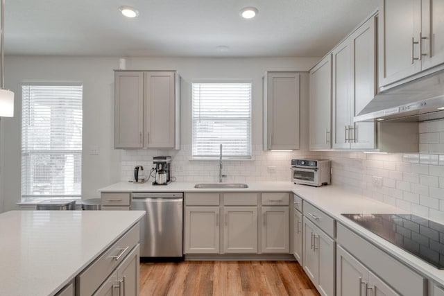 kitchen with a sink, light countertops, light wood-style floors, stainless steel dishwasher, and black electric cooktop