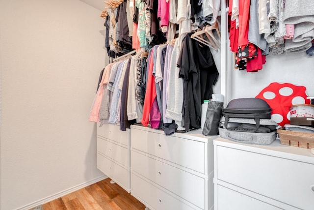 spacious closet featuring light wood finished floors