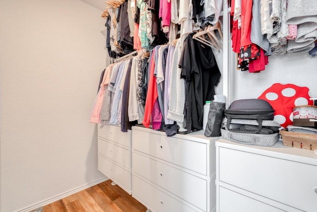 1004 Brenham Ln, Leander, TX 78641 - walk in closet with light wood-style flooring