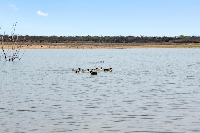 property view of water