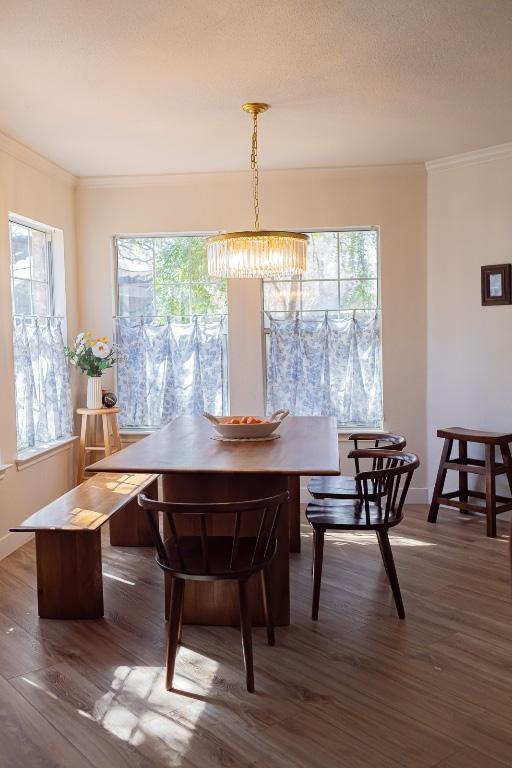 dining room with crown molding, wood finished floors, and a wealth of natural light