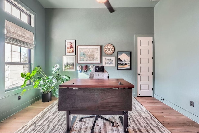 office area featuring ceiling fan, baseboards, and wood finished floors