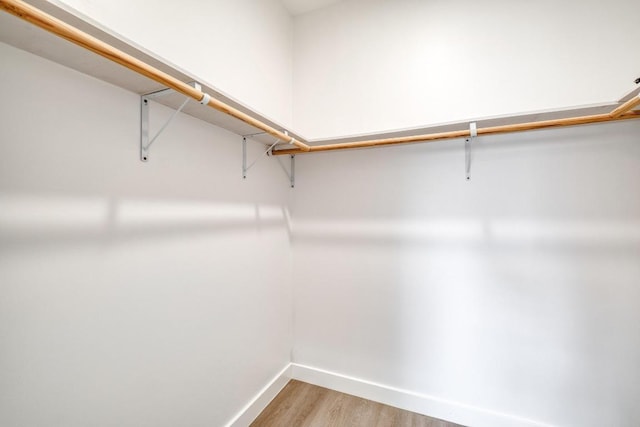 walk in closet featuring light wood finished floors