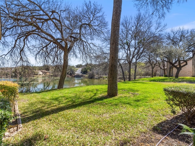 view of yard with a water view