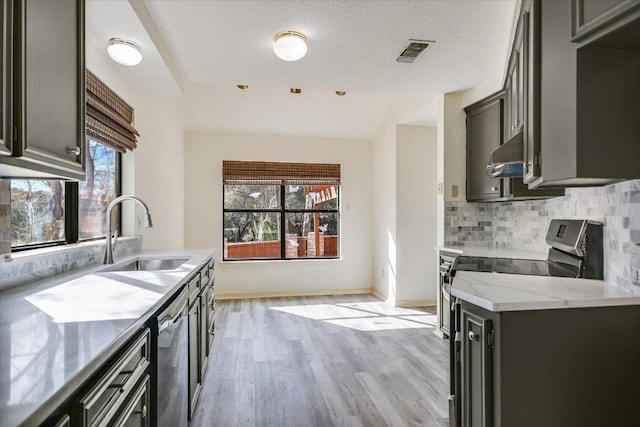 405 S Cowal Dr, Spicewood, TX 78669 - kitchen featuring a sink, stainless steel dishwasher, plenty of natural light, backsplash, and vaulted ceiling