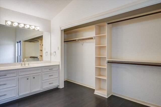 405 S Cowal Dr, Spicewood, TX 78669 - spacious closet featuring a sink and dark wood finished floors