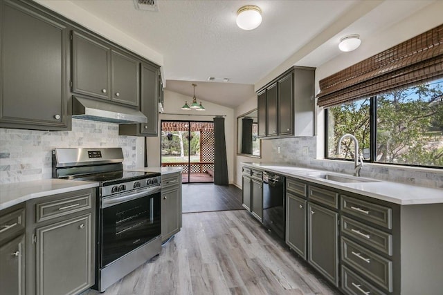 405 S Cowal Dr, Spicewood, TX 78669 - kitchen featuring stainless steel electric stove, dishwasher, under cabinet range hood, a sink, and lofted ceiling