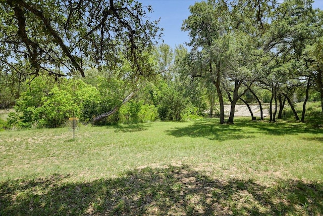 405 S Cowal Dr, Spicewood, TX 78669 - view of grassy yard