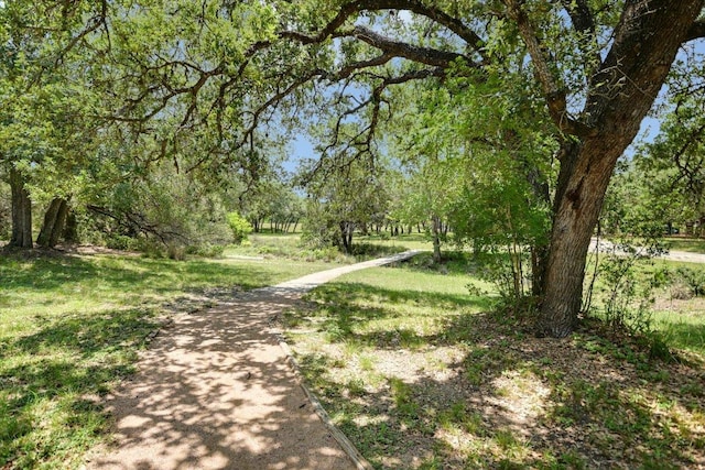 405 S Cowal Dr, Spicewood, TX 78669 - view of property's community with a lawn