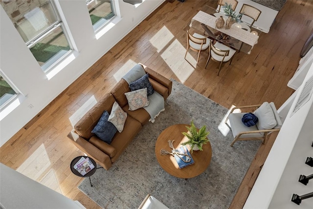 living room featuring hardwood / wood-style flooring