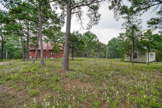 view of yard featuring an outbuilding