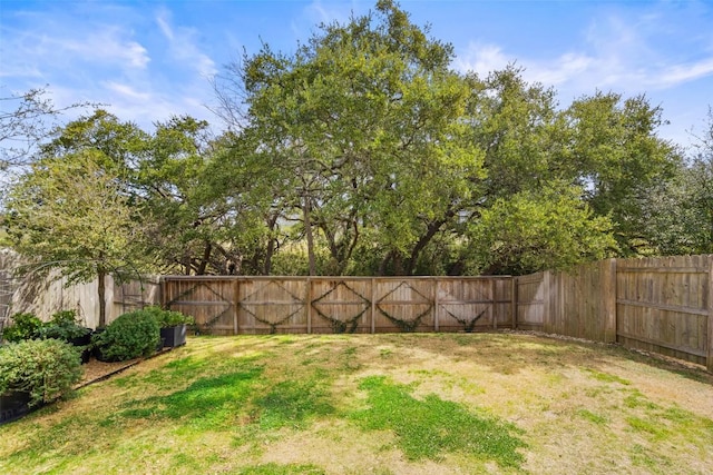 420 Red Buckeye Loop, Liberty Hill, TX 78642 - photo 25